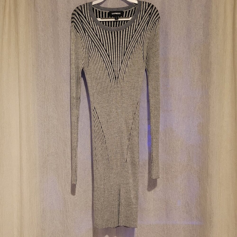 Express BodyCon Sweaterdress